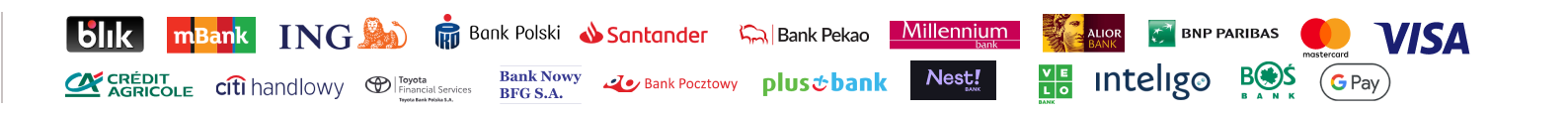 Paynow, BLIK, Visa, Mastercard and Google Pay payment methods